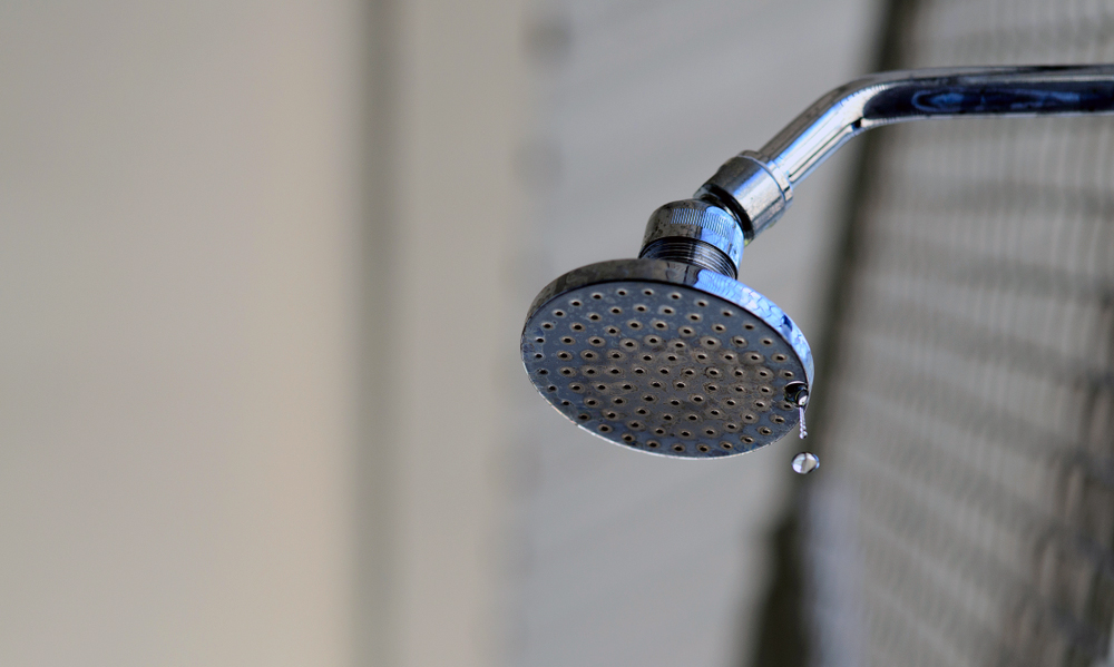Leaky Showerhead: How to Repair | All Day Plumbing