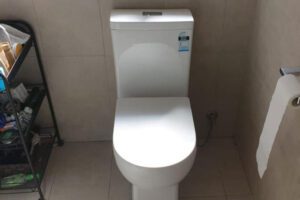 Blocked Toilet Drains Sydney | All Day Plumbing