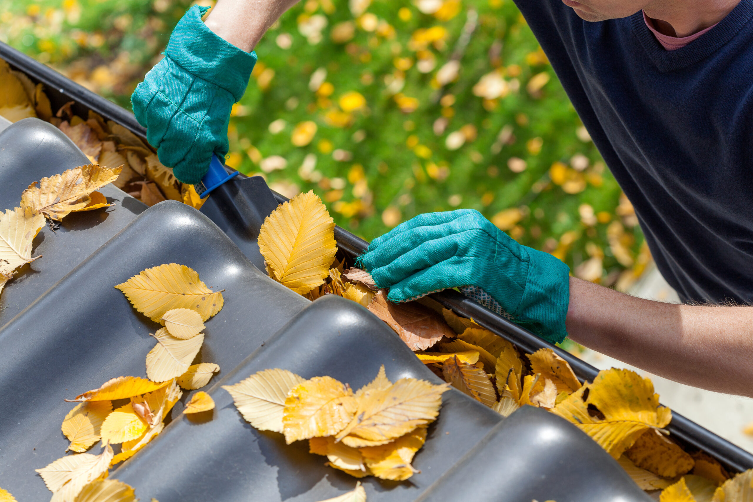 What Damage Can Blocked Gutters Cause? | All Day Plumbing